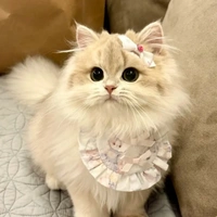 mochi