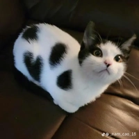 Đốm