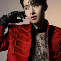 Huỳnh hoàng Hùng gemini