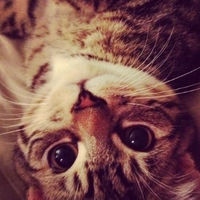 tác giả 【𝙎𝙩𝟰𝙖𝙧˖】