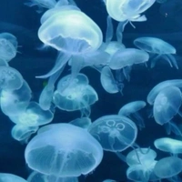 𝘽𝙄𝙪𝙙𝙙𝙪𝙙【𝟬𝟵𝟮】