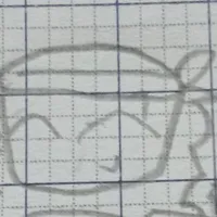 roll/Selena (nam/nữ