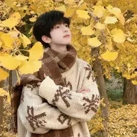 Trần Tuấn Minh. papi hắn