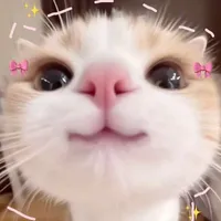 t/g 