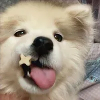 bị bệnh đẹp trai giai đoạn cuối. | @ms