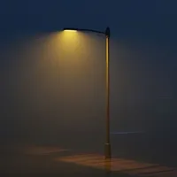 WHO ?