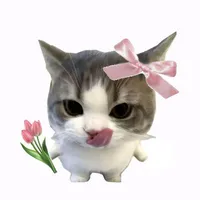 T/g nèee