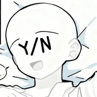 Y/N