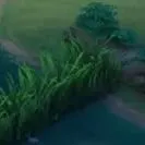 bụi cỏ aov