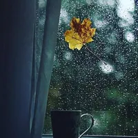 Cái lớp mất dạy💔