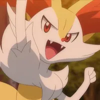 braixen 