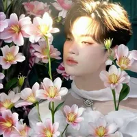 Nguyễn Thanh pháp/Pháp kiều