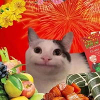 tác giả zô tri
