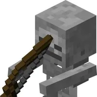 Skeleton