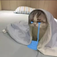 tg nò