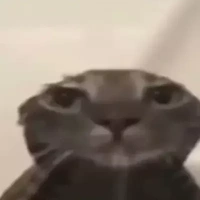 nhân vật quần chúng cute