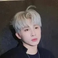 Lê Hồng Sơn