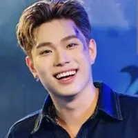dương domic
