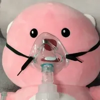 T/G bị điên