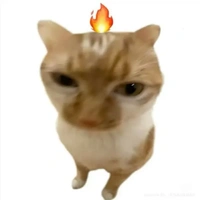 bot_iugame
