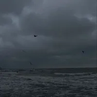 ？？？