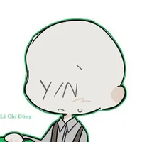 Y/N