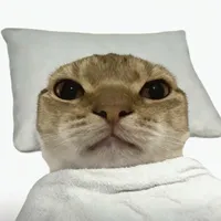 TG cute nhất thế giới