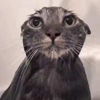 tuiii