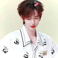 Hạ Tuấn Lâm (em)