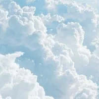 Nv đẹp trai nhất truyện