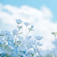 nhân vật quần chúng