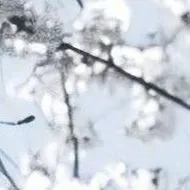 ....