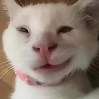 nhỏ tác giả 🌷