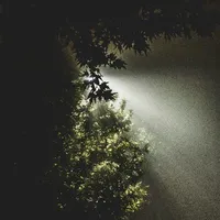 cân mọi nhân vật