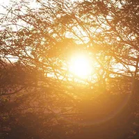 all