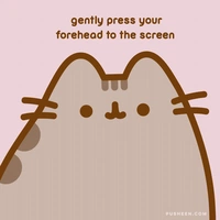 Pusheen 