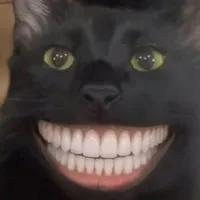 T là TG