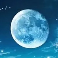 Nhân vật phụ nam