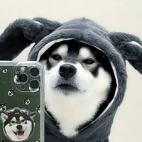 lu- (chó nhà báo)