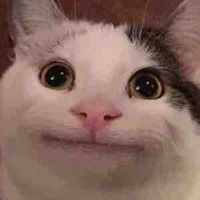 “Just a dumb cat”