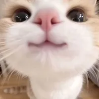 tác giả đây  :3