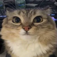 tg