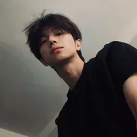 Đình Vũ: Nro