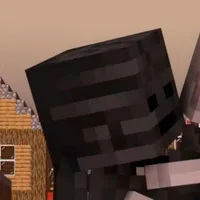 𝑾𝒊𝒕𝒉𝒆𝒓