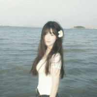 võ hạ anh