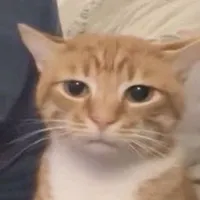 Tác Giả Loading....⭕