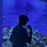 Nguyễn Bảo Khang