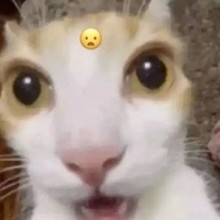 mèo tảm tiêu