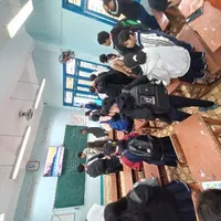 all hiha pd