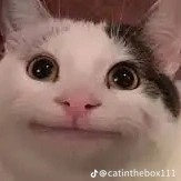 tg siêu 😑